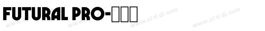 FuturaL Pro字体转换